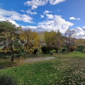 Location Appartement à ST MARTIN D HERES - Photo 5