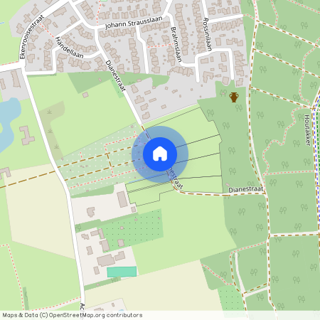 Dianestraat, 5583TH, Waalre