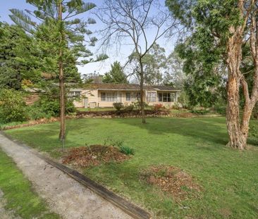 Comfortable Family Home with Flexible Living in Quiet Croydon Pocket - Photo 4