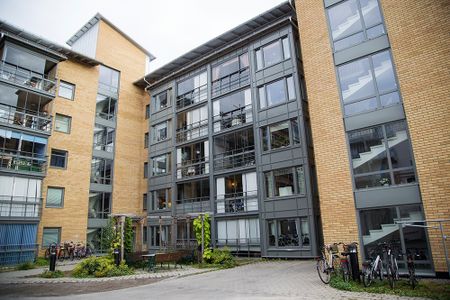 Hamngatan 41 A, 94162, Piteå - Foto 4