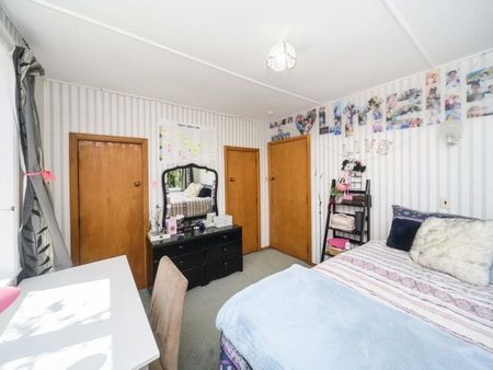 Hokowhitu 3-Bedroom Family Gem - Photo 4