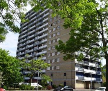 Waddenstraat 2036 Haarlem - Photo 2