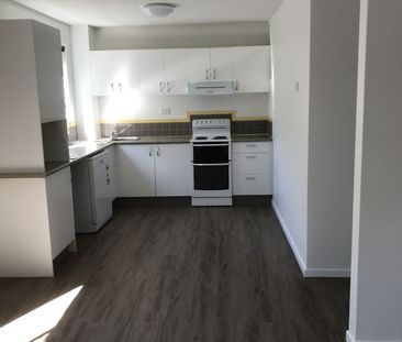 2bed 1bath renovated Beach Shack 60m to Nobbys Surf Club - Photo 4