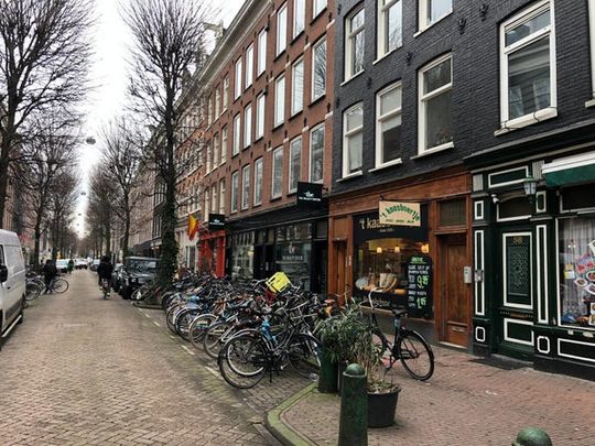 Te huur: Appartement Gerard Doustraat in Amsterdam - Photo 1