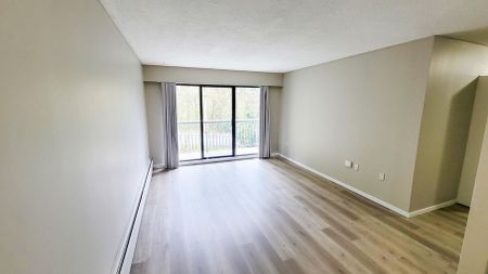 Hillside Terrace - Photo 4