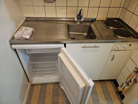 Studio near the old carouge - Photo 4