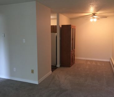 1 BEDROOM ON THE 3RD FLOOR!! DOWNTOWN RED DEER!! - Photo 4