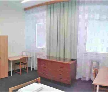 Pronájem pokoje 15 m², Traubova, Brno - Photo 2