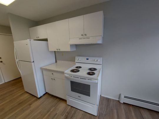 Fully Renovated Pet Friendly Unit!!! - Photo 1