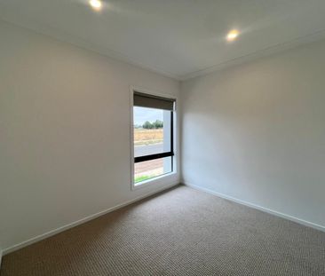 45 Yucca St, Wyndham Vale VIC 3024 - House For Rent | Domain - Photo 4