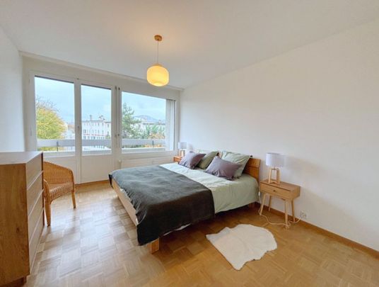 Schönes möbliertes 3.5-Zimmer-Apartment in Eaux-Vives - Photo 1