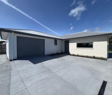 Brand new 3 bedroom in Vogeltown - Photo 6