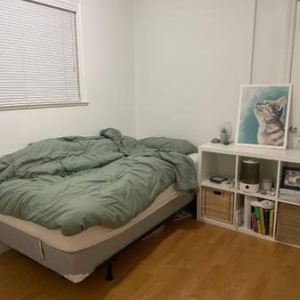 1 Bed 1 bath ground floor suite for rent in Vancouver - Photo 1