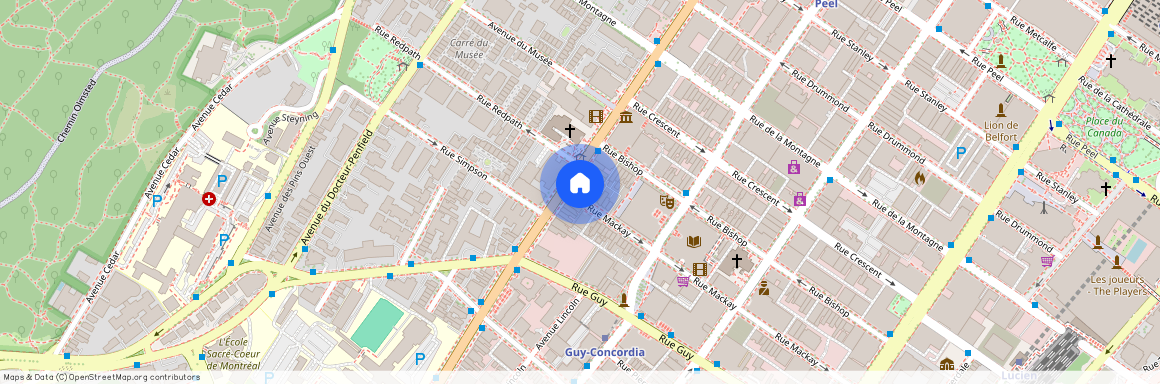 1460 Rue Sherbrooke Ouest, Montréal, QC