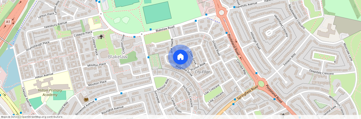 Blackthorn Close, NE5, Newcastle Upon Tyne