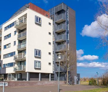 Lobeliuslaan - Photo 4