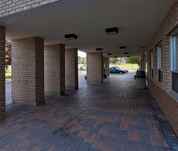 Mariposa Place - Photo 1