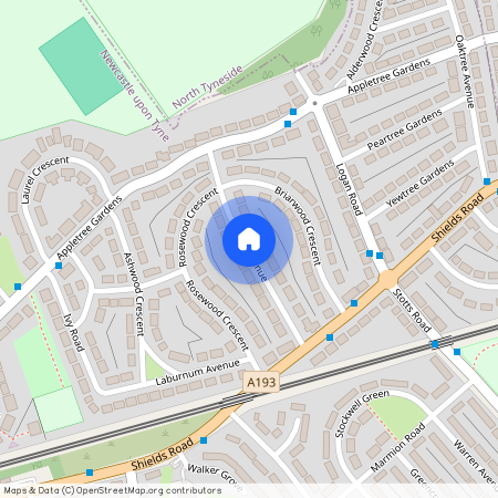 Holme Avenue, Newcastle upon Tyne NE6