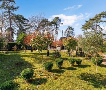 2 bedroom bungalow to rent - Photo 2