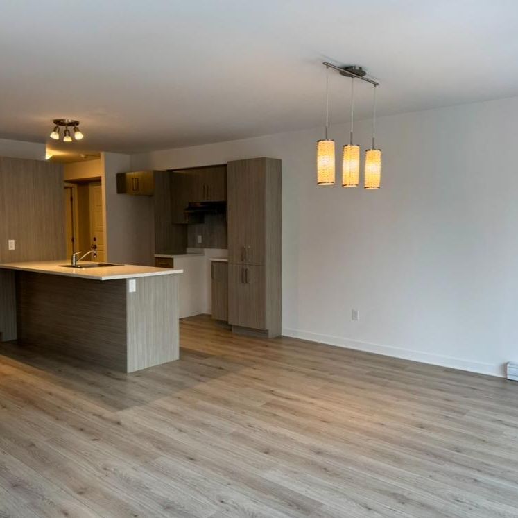 Logement 4 1/2 - Aout 2026 - Photo 1