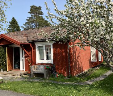 Blåbärsvägen, Umeå - Photo 2