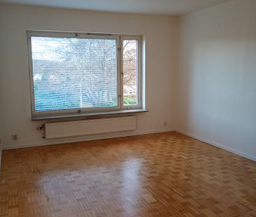 Ekbacken, Asarum - Foto 1