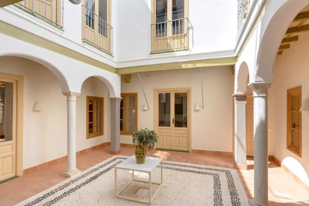 Calle Pimienta, Sevilla, Andalusia 41004 - Photo 3