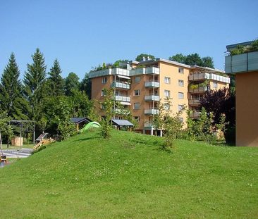 Grosse Wohnung im schönen Richterswil - Foto 3