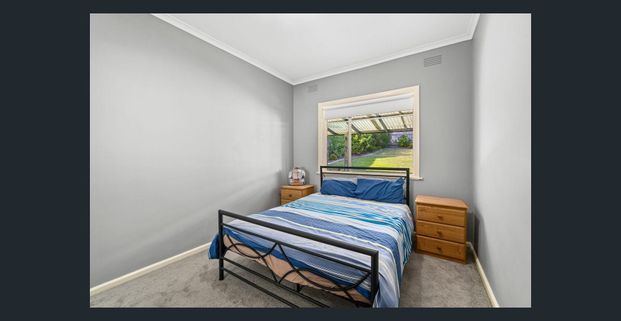 Close To Everything! - Photo 1