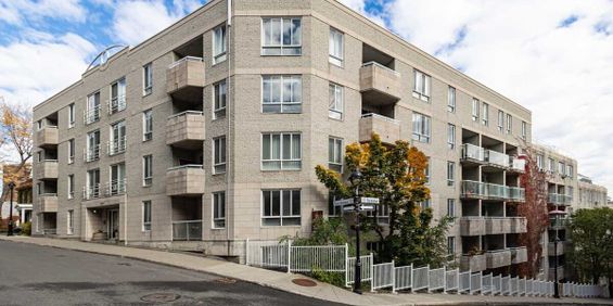 Bachelor Available At 150 St Norbert Street, Montreal - 150 St Norbert Street, Montréal - Photo 3