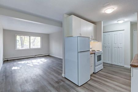 Renovated Suite - 1 Bedroom - Photo 2