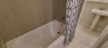 For Lease - 87 Andrea Lane Unit# Lower, Vaughan, Ontario - Photo 5