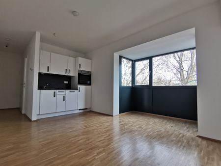 Gut aufgeteilte Singlewohnung in Eggenberg - Alte Poststraße 98/20 - Foto 3