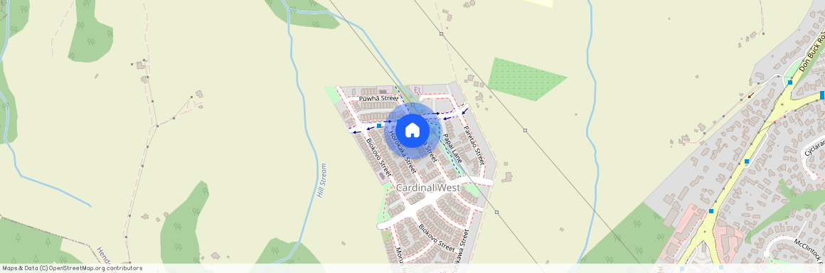 45 Puwha Street, Massey, Waitakere City