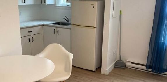 Appartements 1 1/2 à Louer Mont-Bellevue - Photo 2