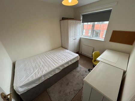 8 Ashley Mews, Belfast, BT9 7BN - Photo 4