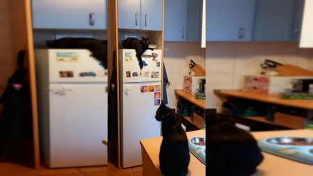 Room in a shared 2-bedroom apartment for rent in Universidad, all bills included - Foto 5