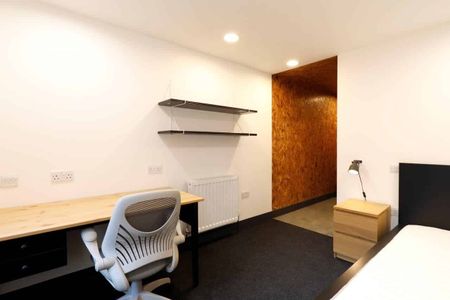Bronze Studio Deluxe - Photo 2