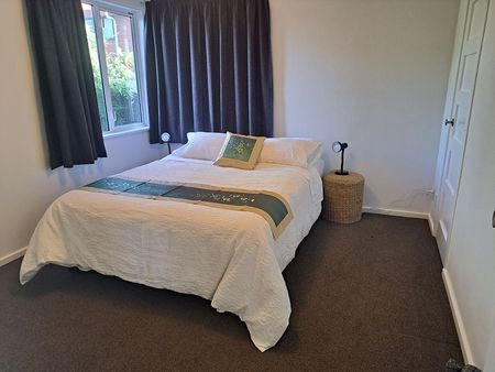 Fully furnished 3 bedroom plus sleepout home - Photo 3