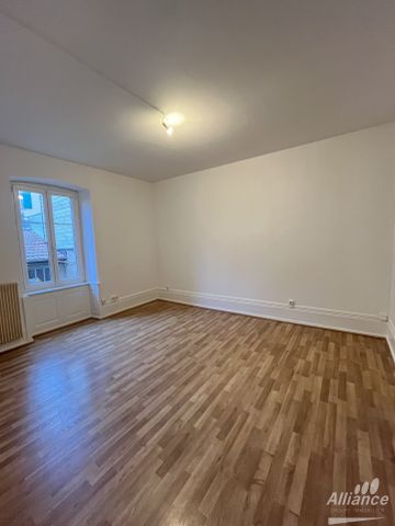 Location Appartement 3 pièces 60m² BELFORT 90000 - Photo 5