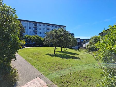 Renovated, sunny 2 bedroom apartment - Photo 5