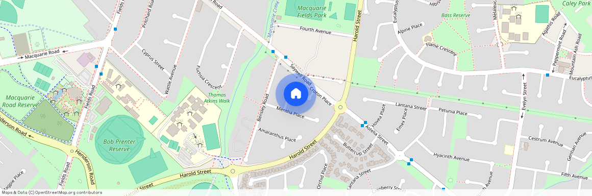 5A Ficus Place, NSW 2564, Macquarie Fields