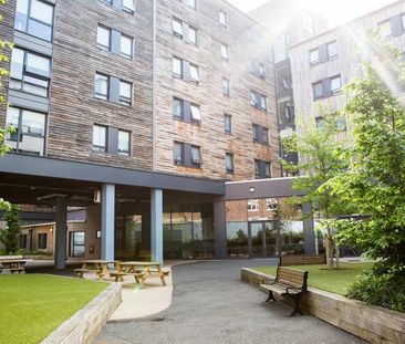 Flat share to rent - Photo 5