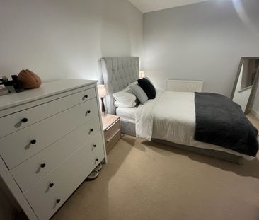 Rose Court - Photo 5