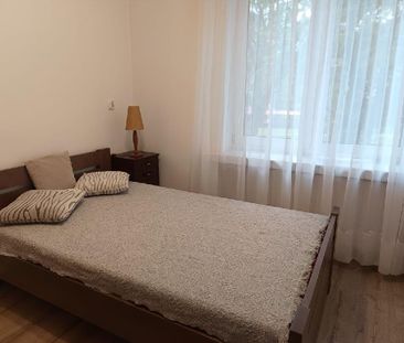 Mieszkanie Gliwice Śródmieście powierzchnia 26.08 m² C396-WM-36942 - Photo 5