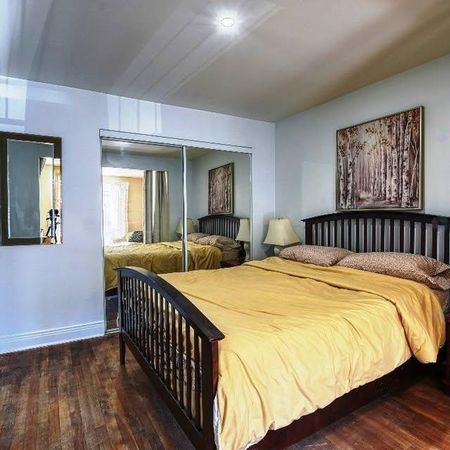 SHOPS ANGUS (MÉTRO PRÉFONTAINE) - 3 1/2 - 55 m² (600 p2) / SHOPS ANGUS (PRÉFONTAINE SUBWAY STATION) - 3 1/2 - 55 m² (600 ft2) - Photo 3