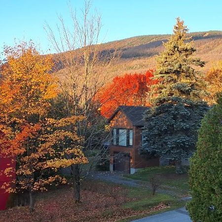 Appartement 4 1/2 MEUBLE St Ferreol les Neiges à louer - Photo 4