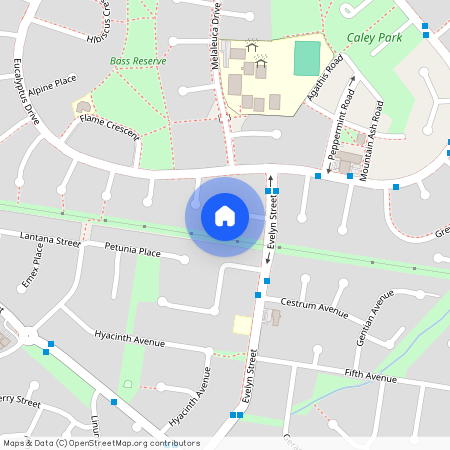 9 Scribbly Place Macquarie Fields, NSW 2564