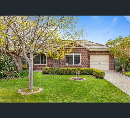 52 Norfolk Avenue, Lake Gardens, Vic 3355 - Photo 5