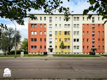 Helle 2-Raum-Wohnung – ruhig, gepflegt und im Grünen von Halle (Saale) - Photo 4